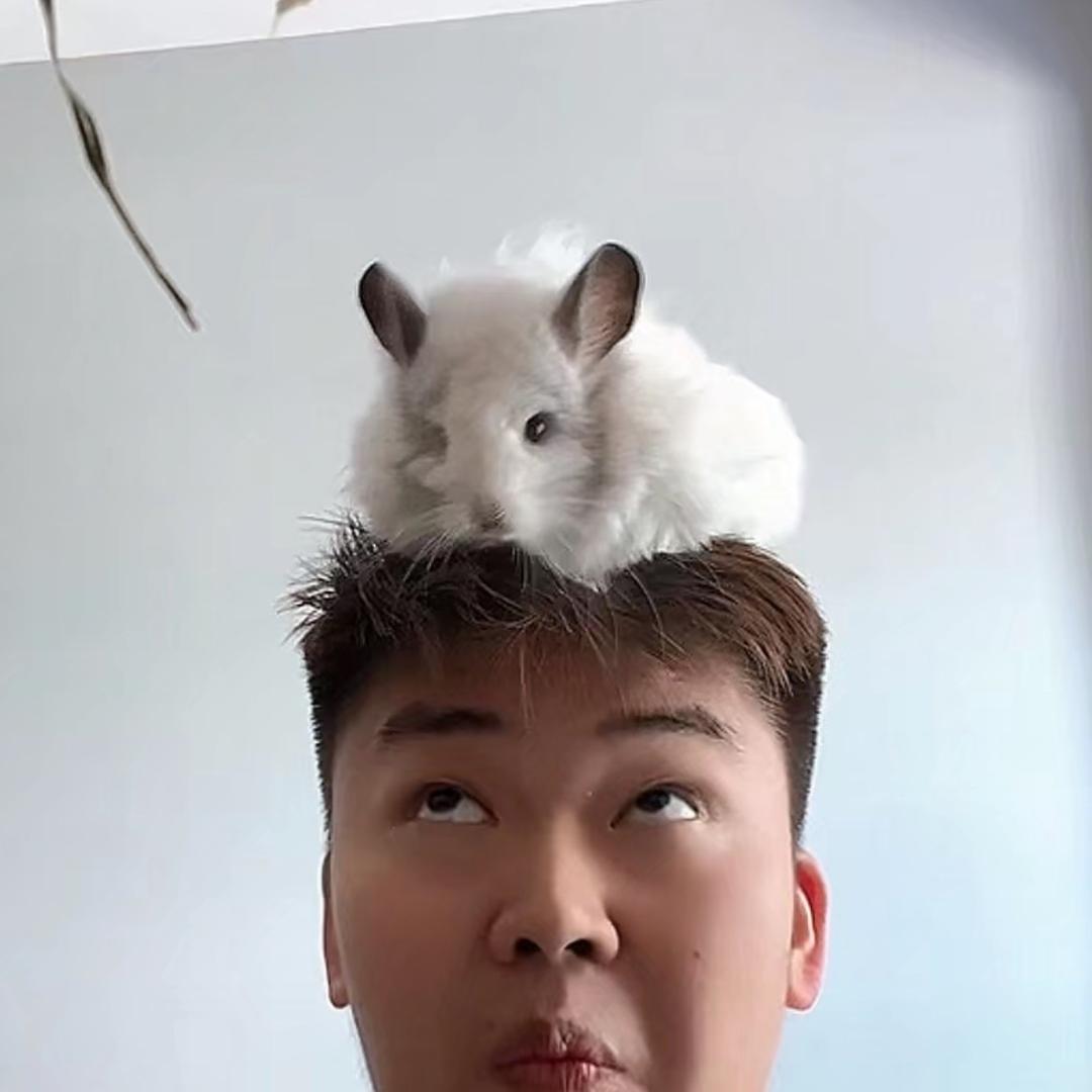 老履