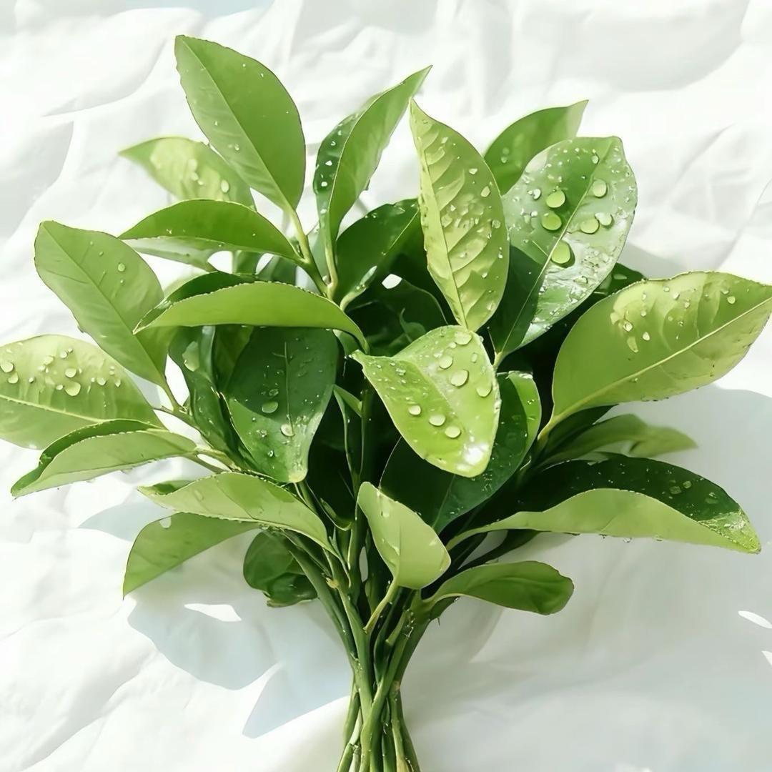 一泽带你闯世界