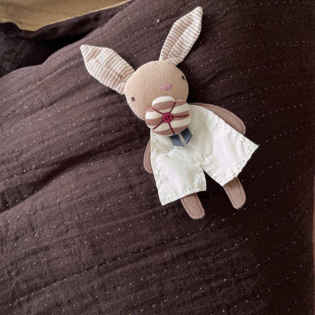 🌈 爱吃肉肉的柒柒