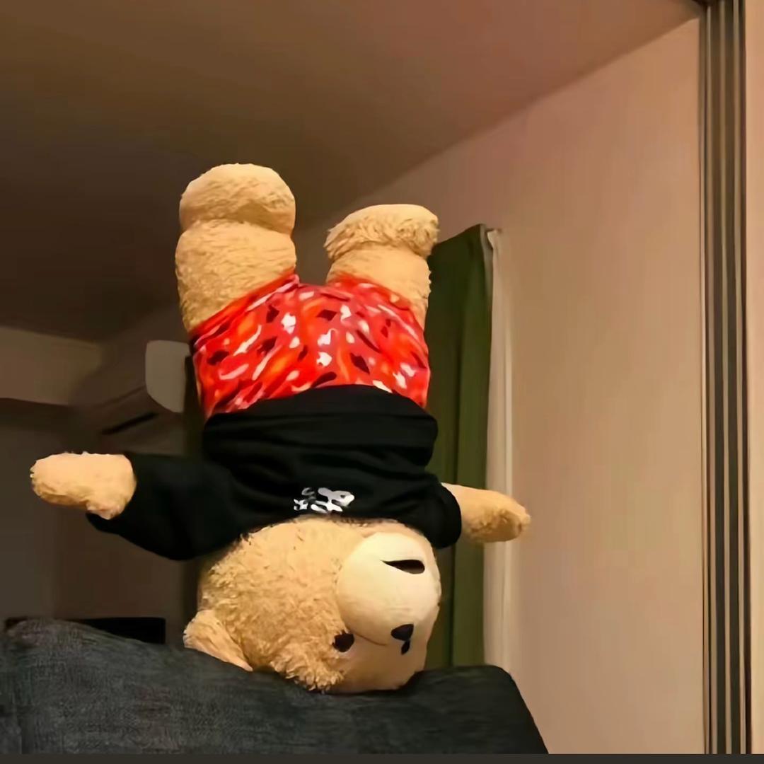 罔崽