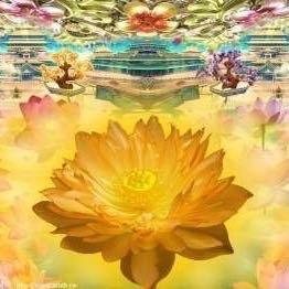 佛光普照@🌹百毒不侵🌹🌹🌹