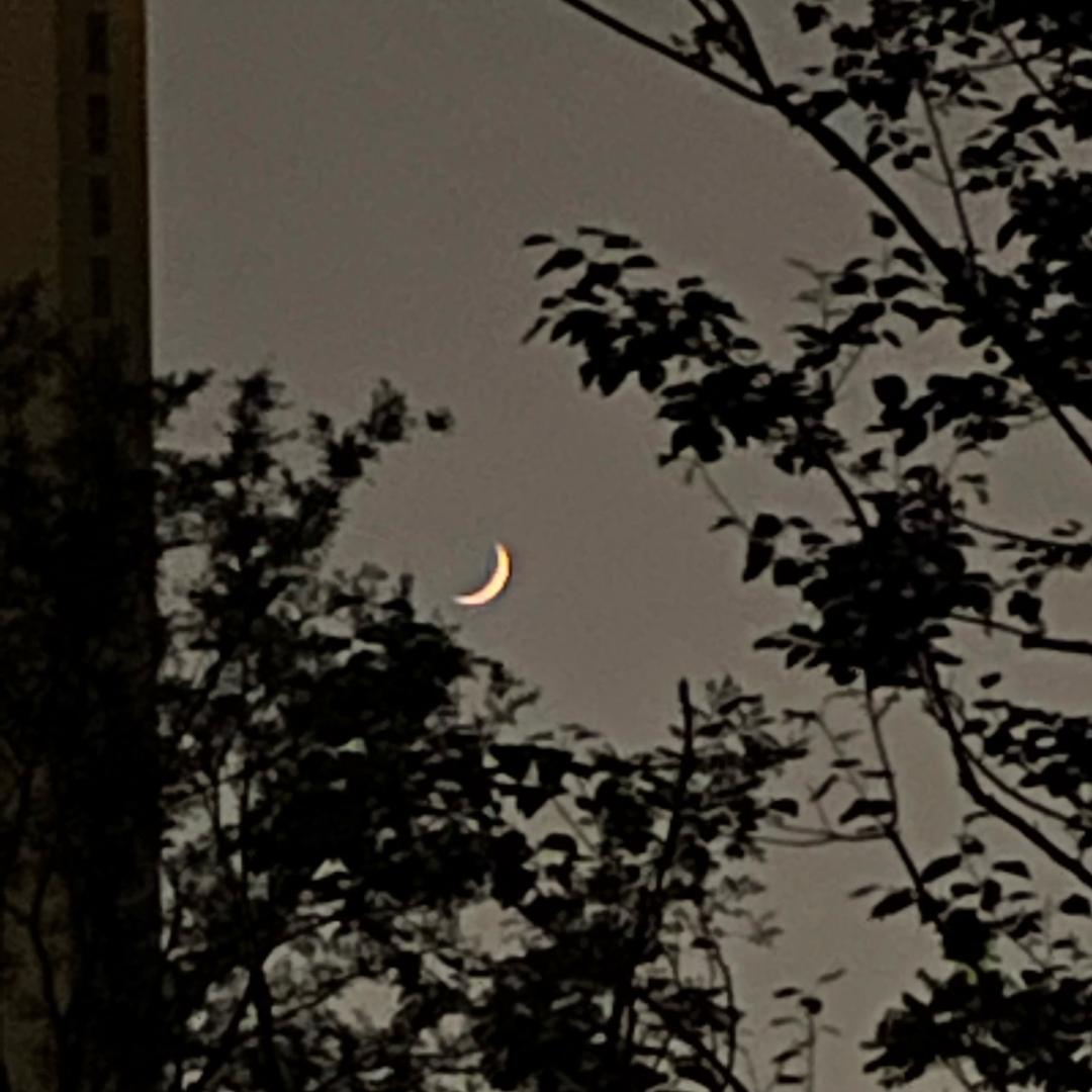 芯竹爱吃桃（充电桩）