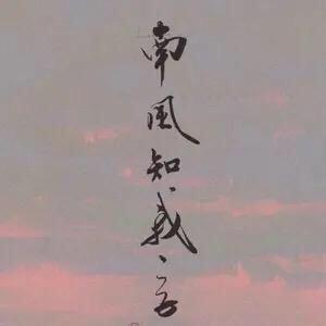 ✨南风之意✨