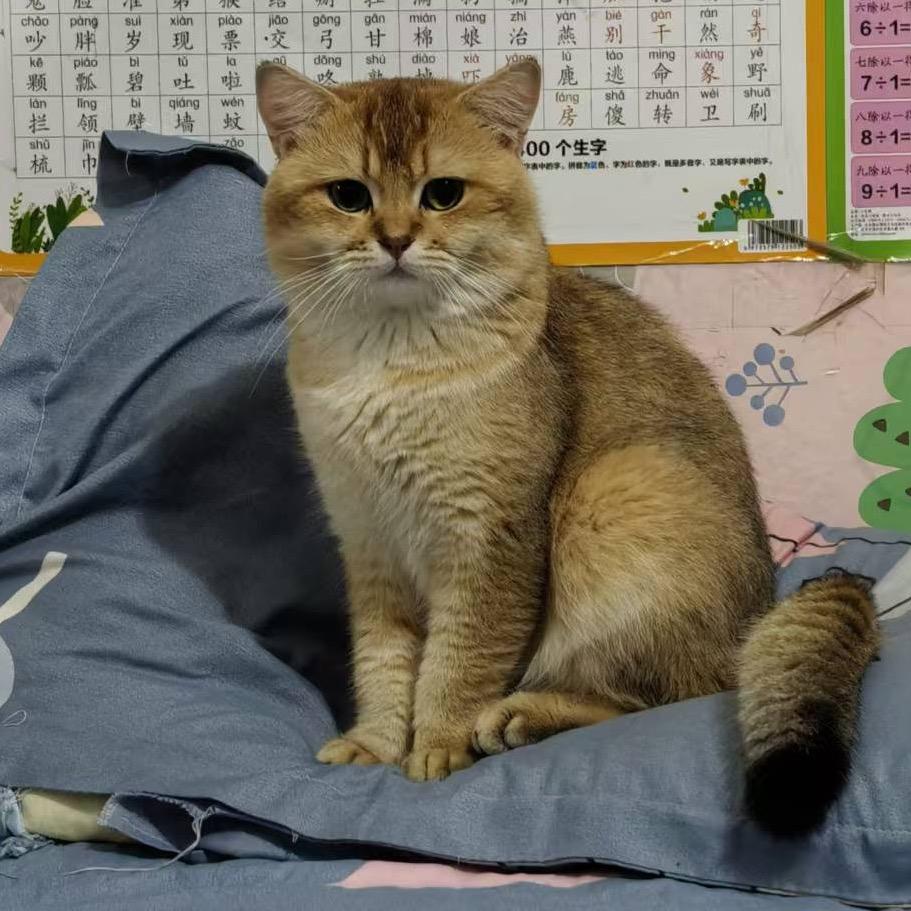 大婷婷 -188
