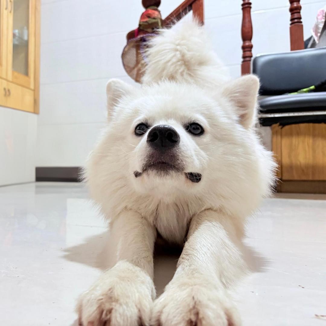 是个大美女乐乐