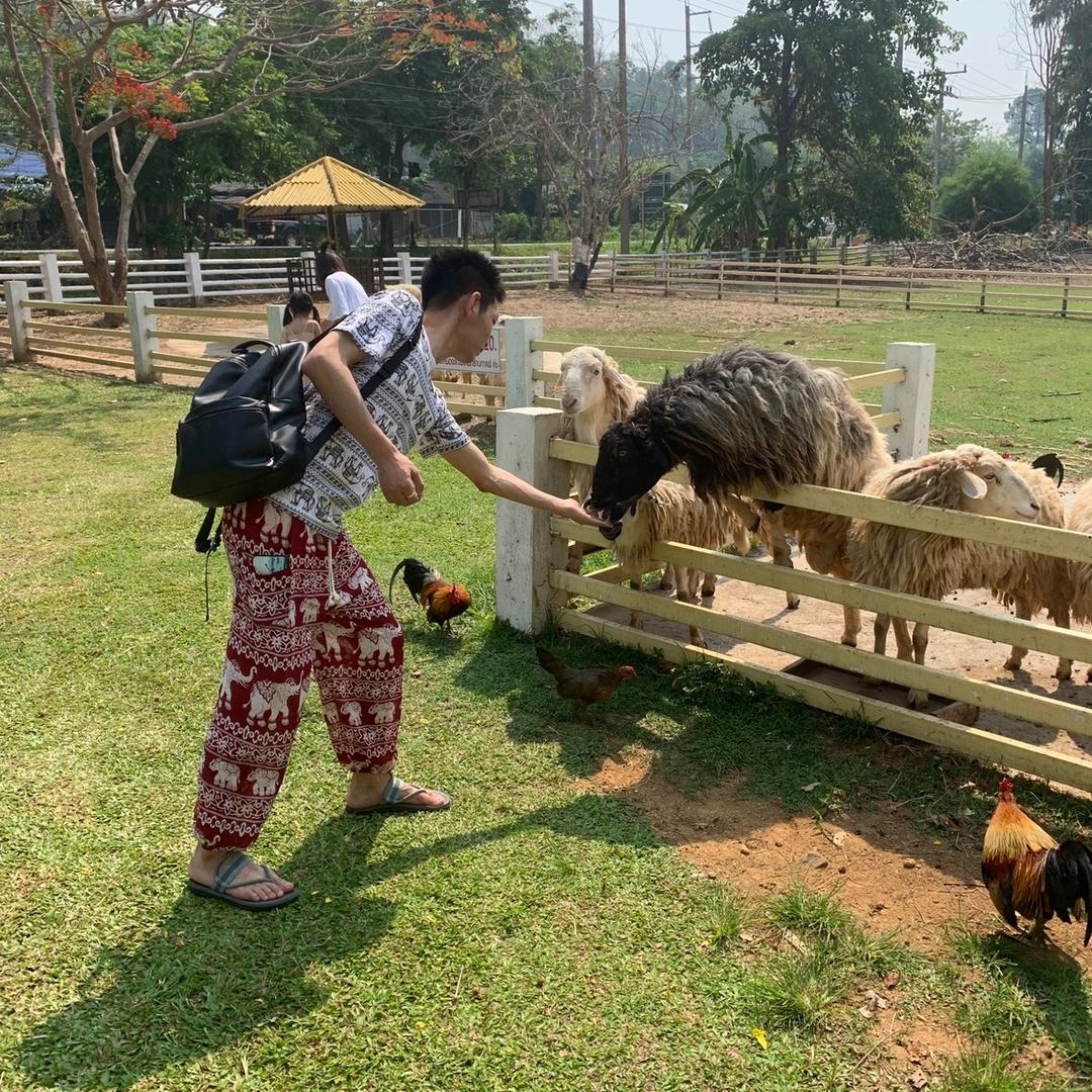 🍺澤少（一米八）