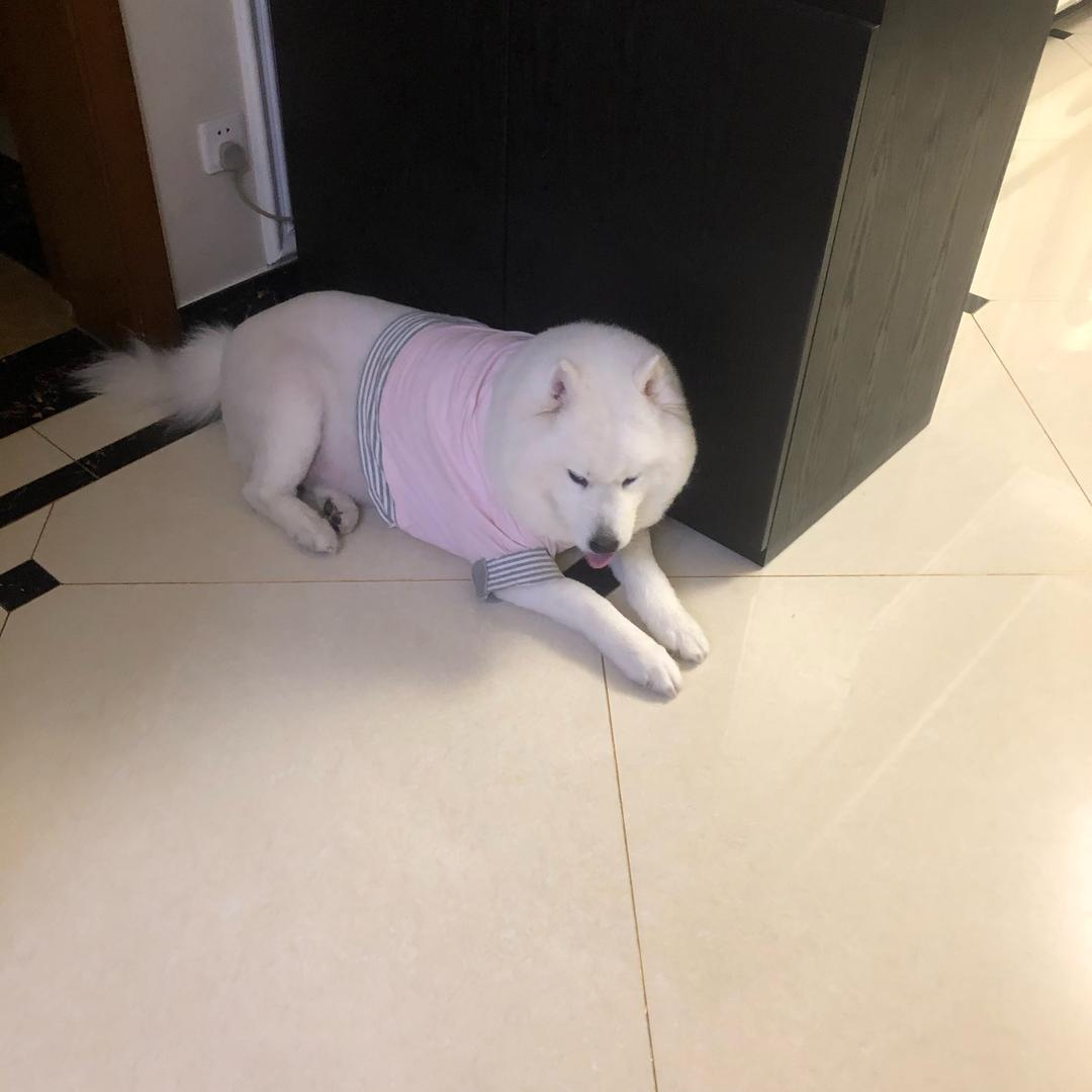 蓉