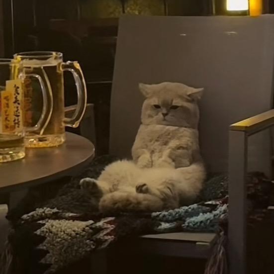Macallan