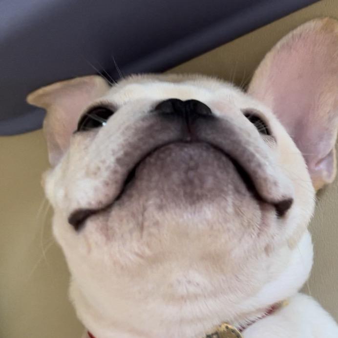 👑浮华如斯～🌈