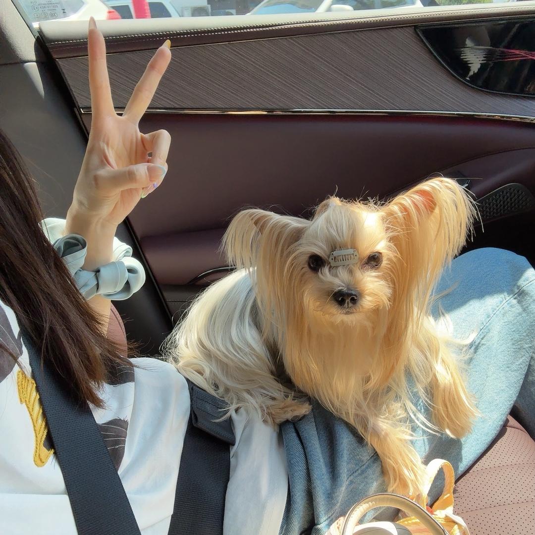 乐堡子的朋友圈🥳