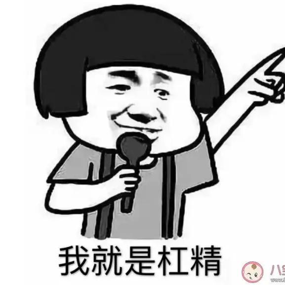 杠精先生