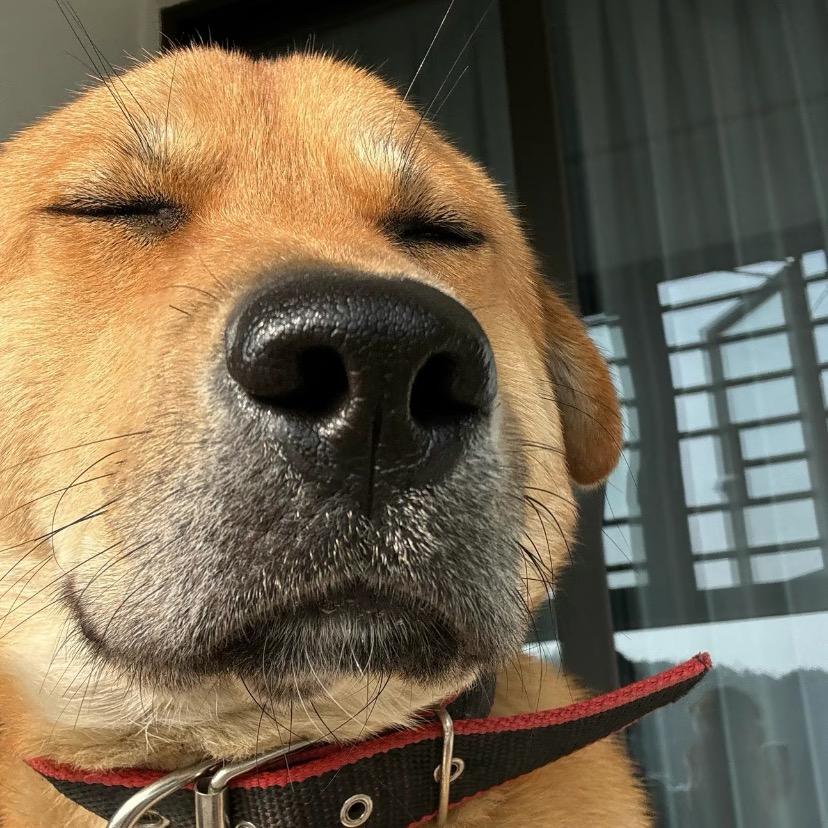 冷酷的人