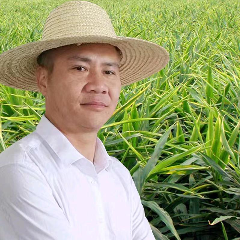 暴躁老农民