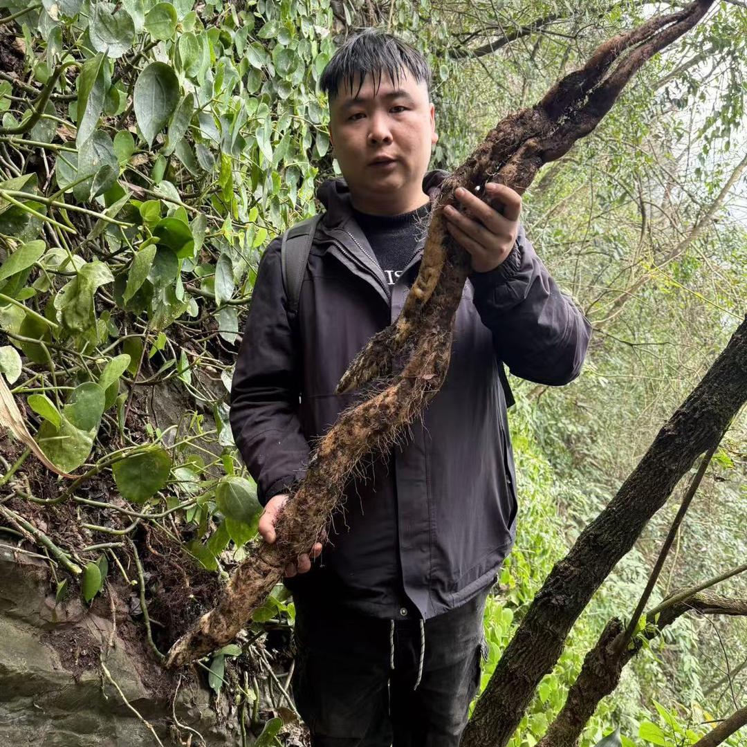 大山里的小夫妻