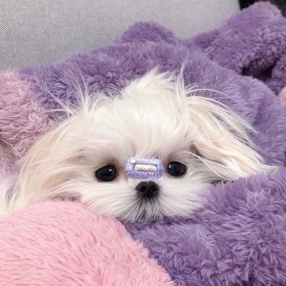 不想起床.
