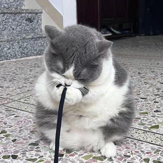 陈伯