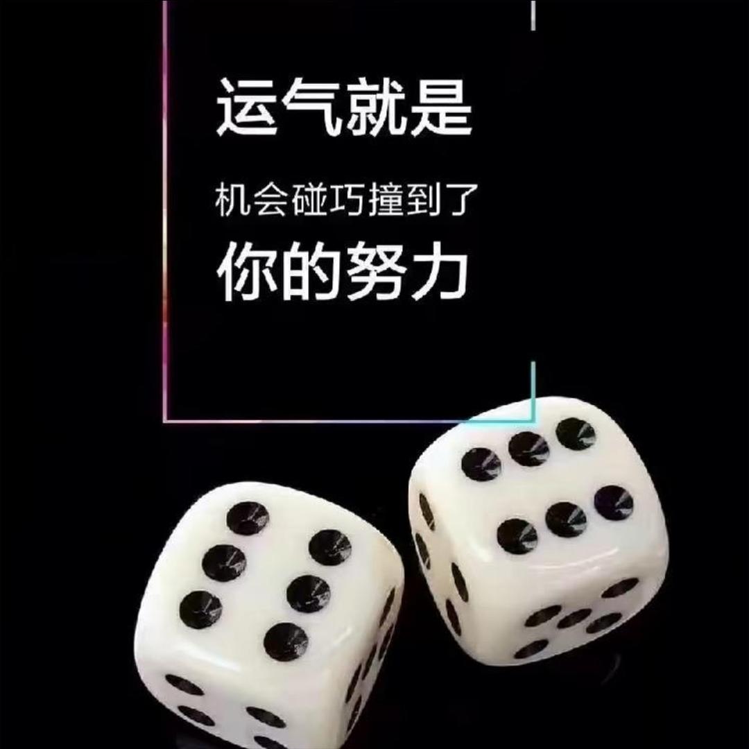 山东蓝阿鹏