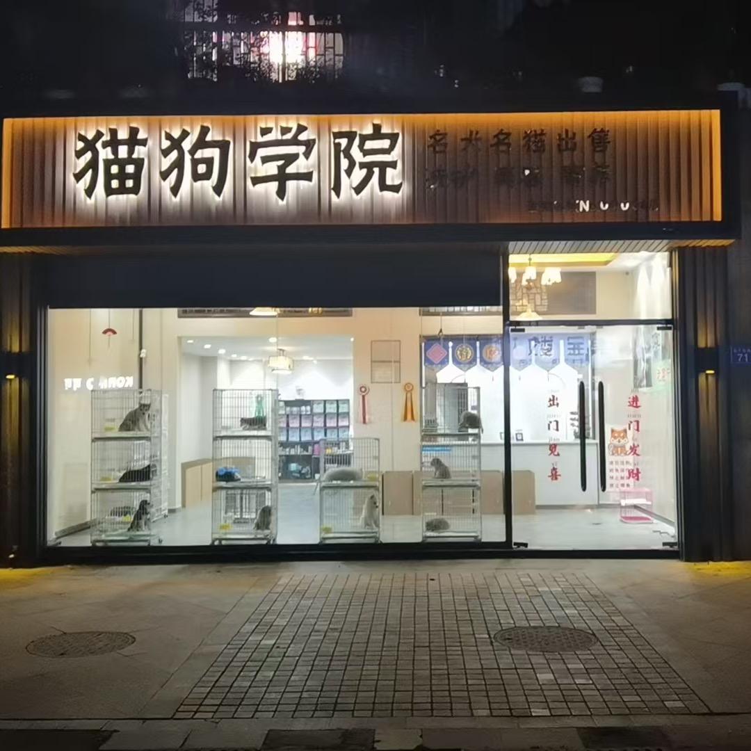 长沙猫狗学院高端犬舍直播号