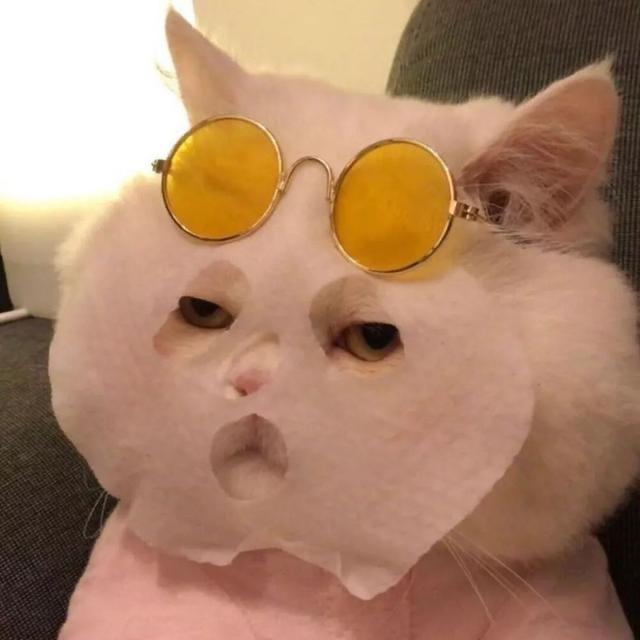 一口南瓜饼