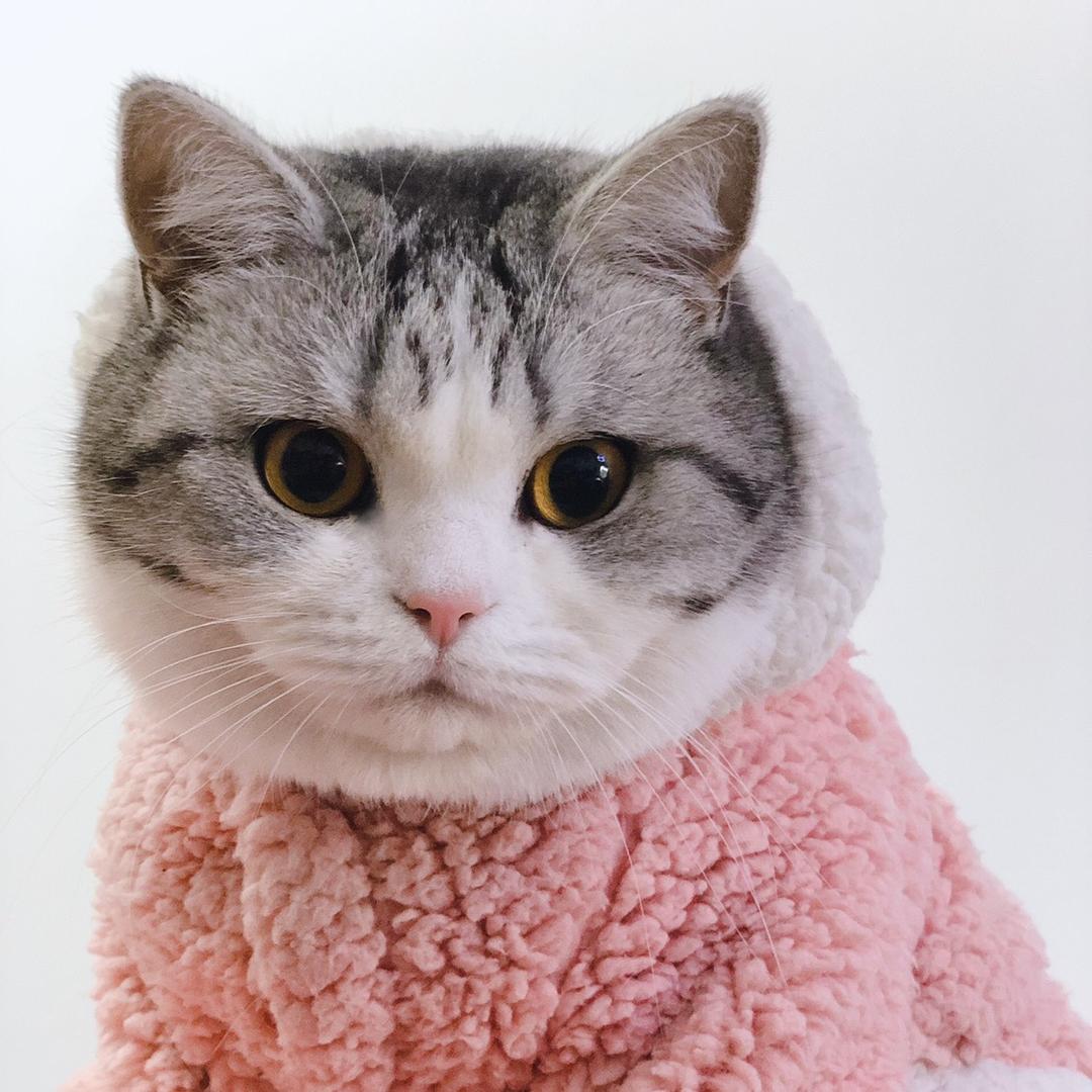 奶茶放珍朱0109📷