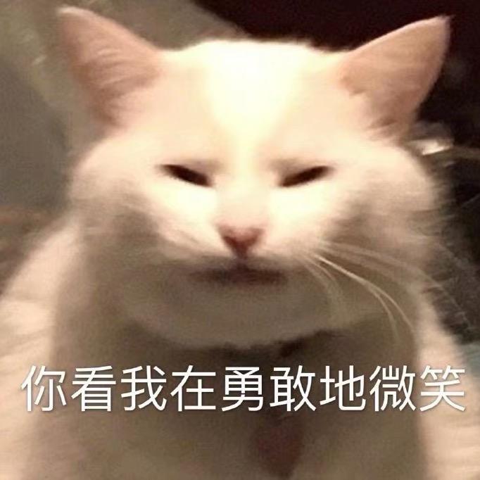 鸡仔