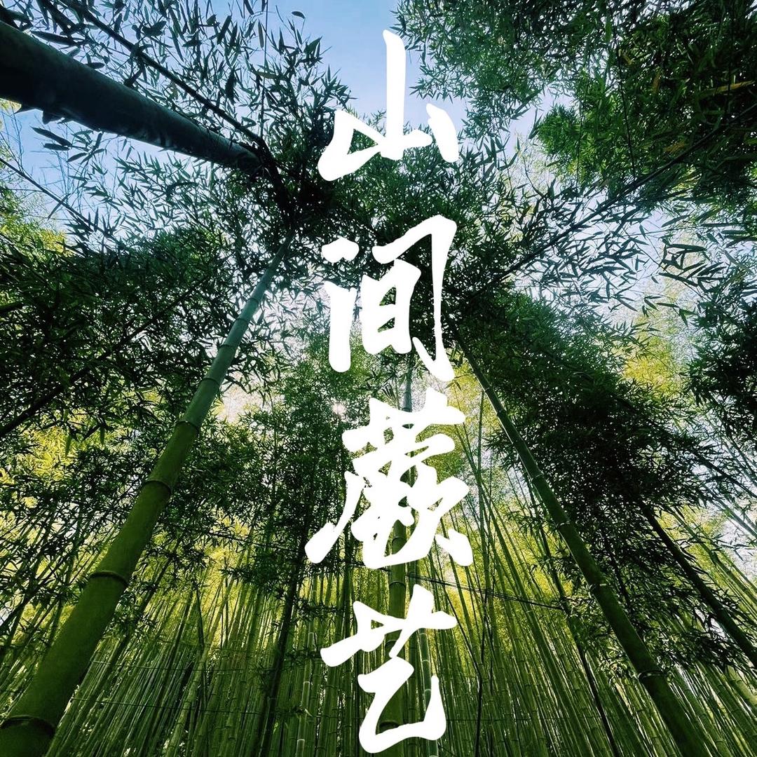 山间蕨艺