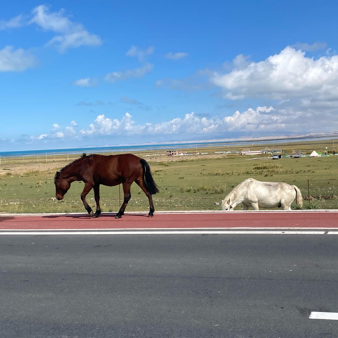 隐春茶叶超市睿海店「天天