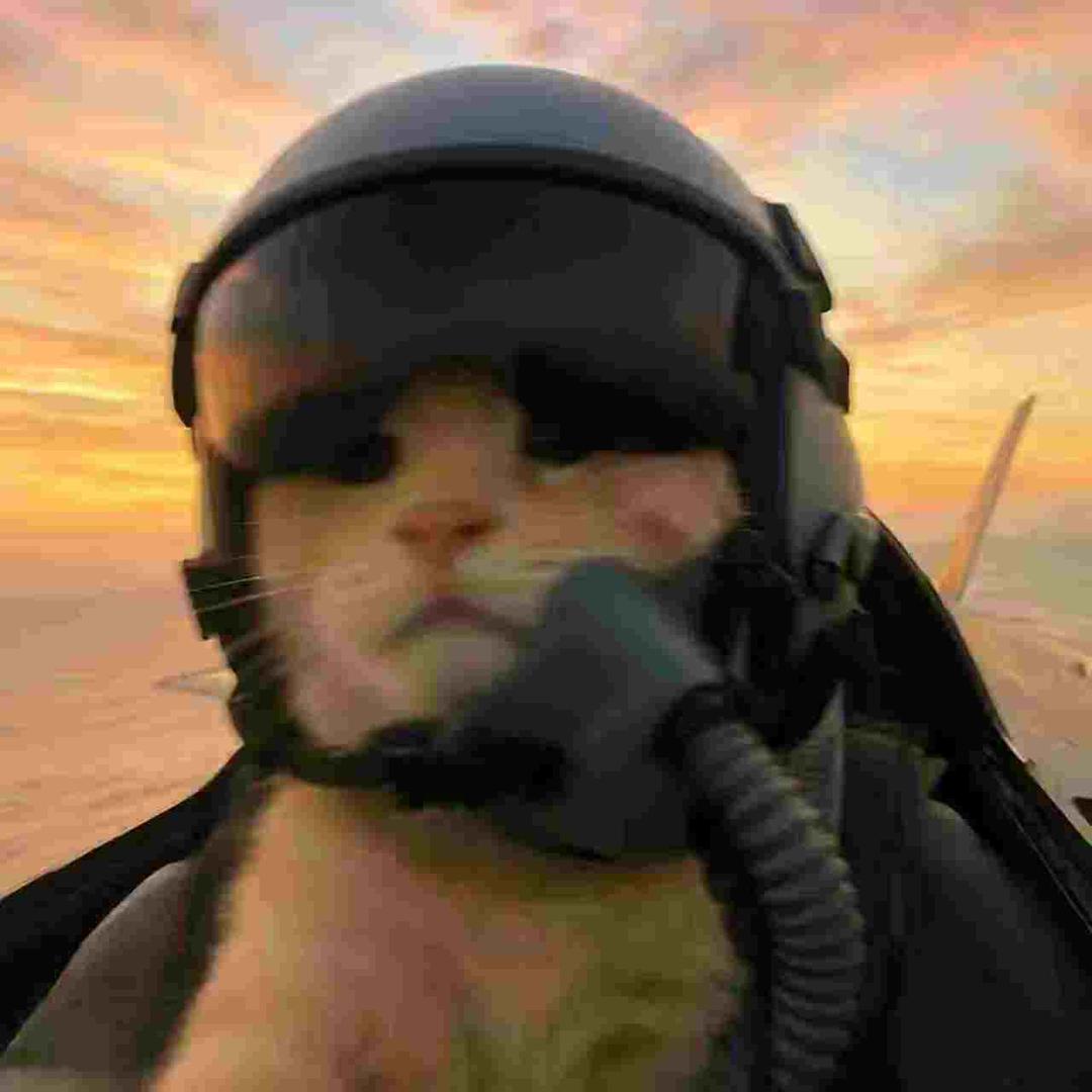 方源（三角洲行动）