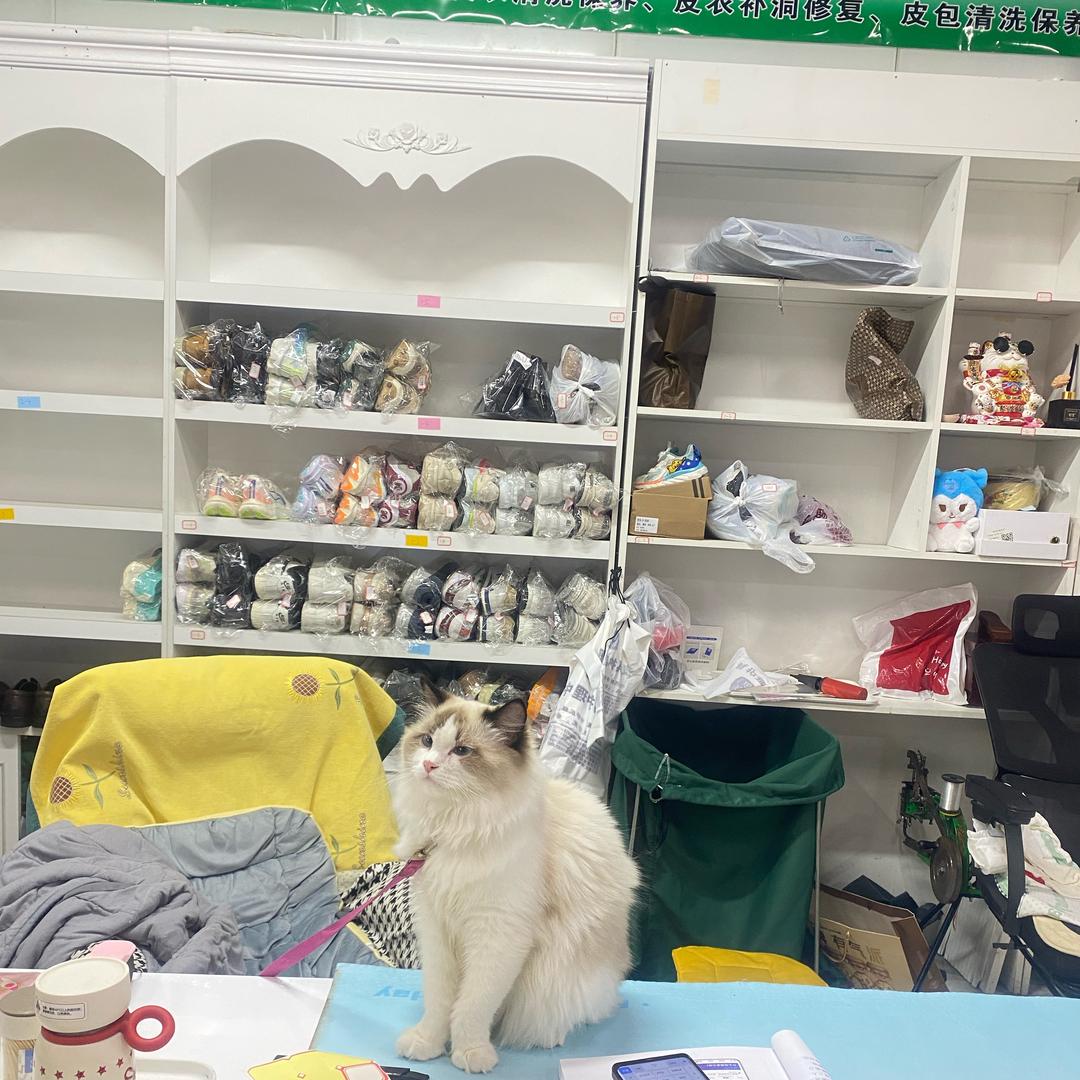 娇娇南坊大剧院附近开干洗店