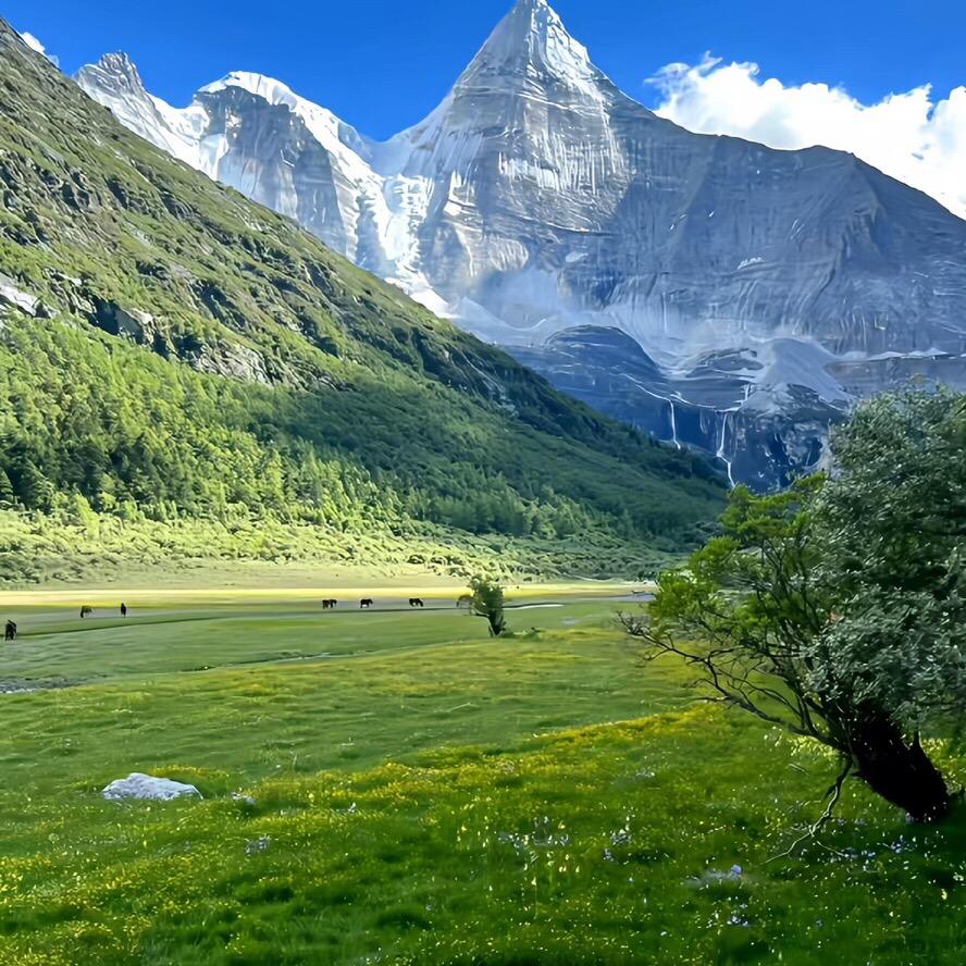 瑜杰五金甄选店