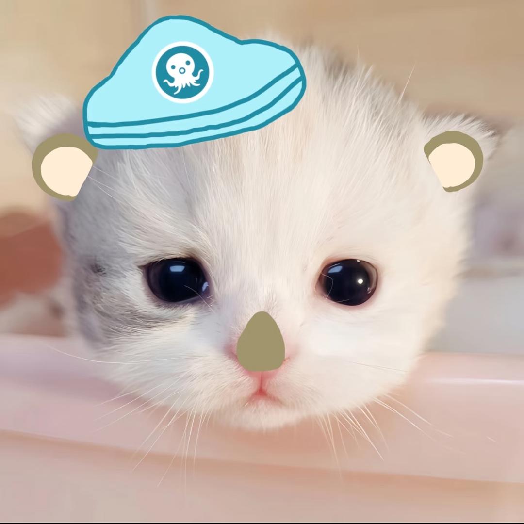 我这一生如绿豆饼