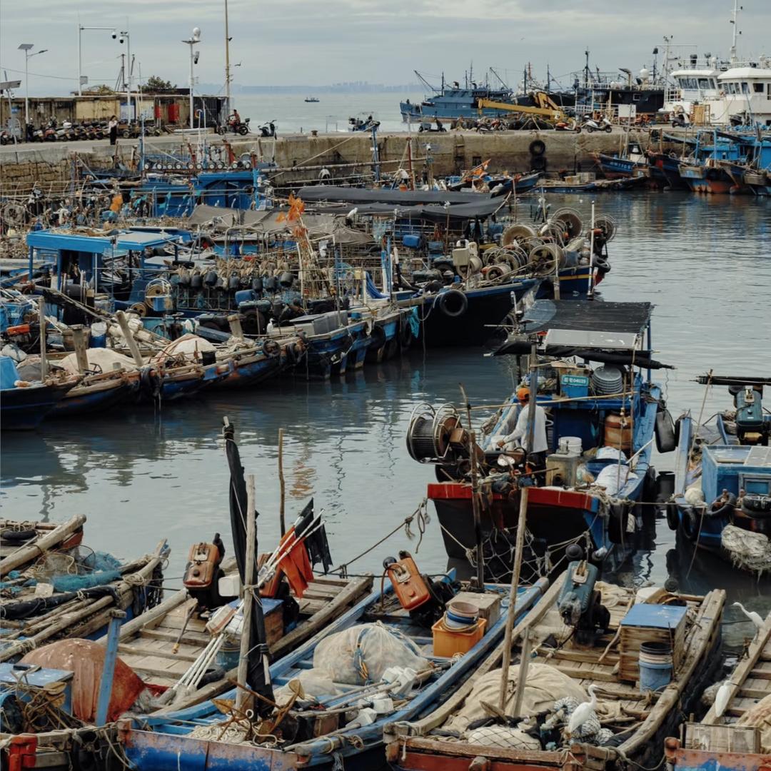四海生鲜原产地