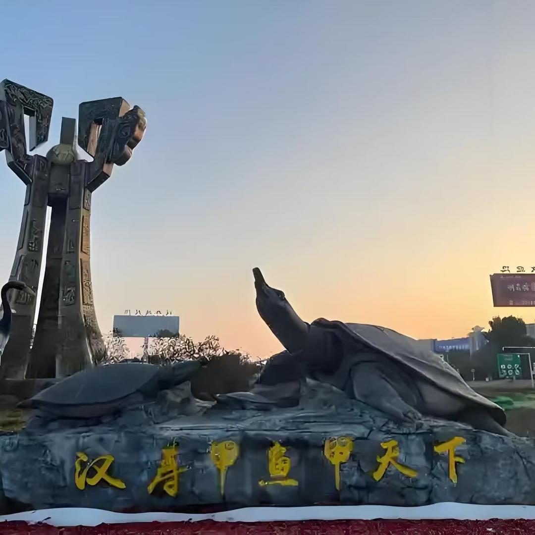 珍姐生态甲鱼塘