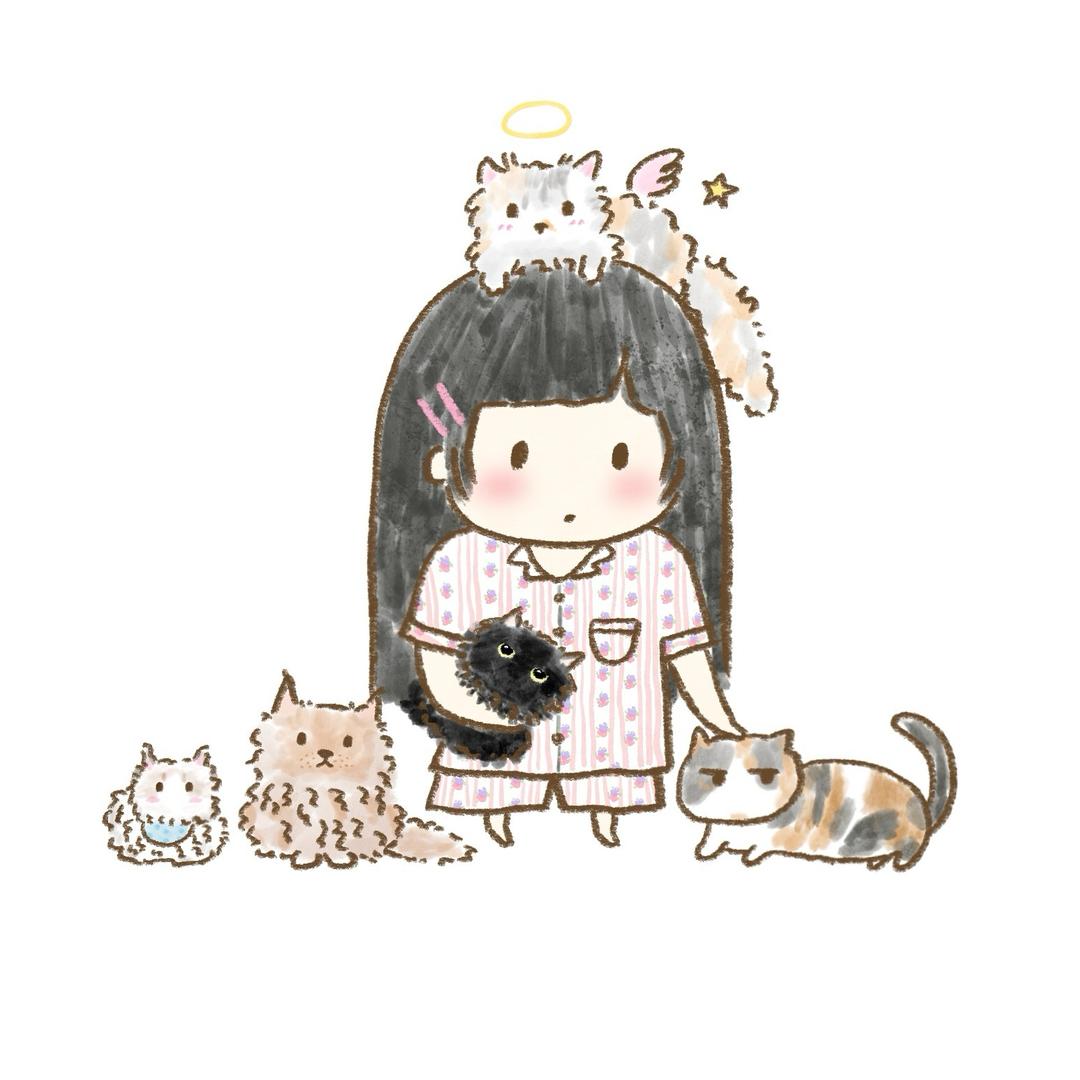 椰子不是抹布
