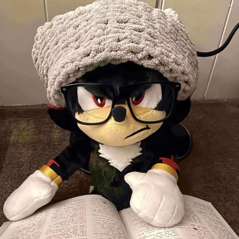 衡衡宰