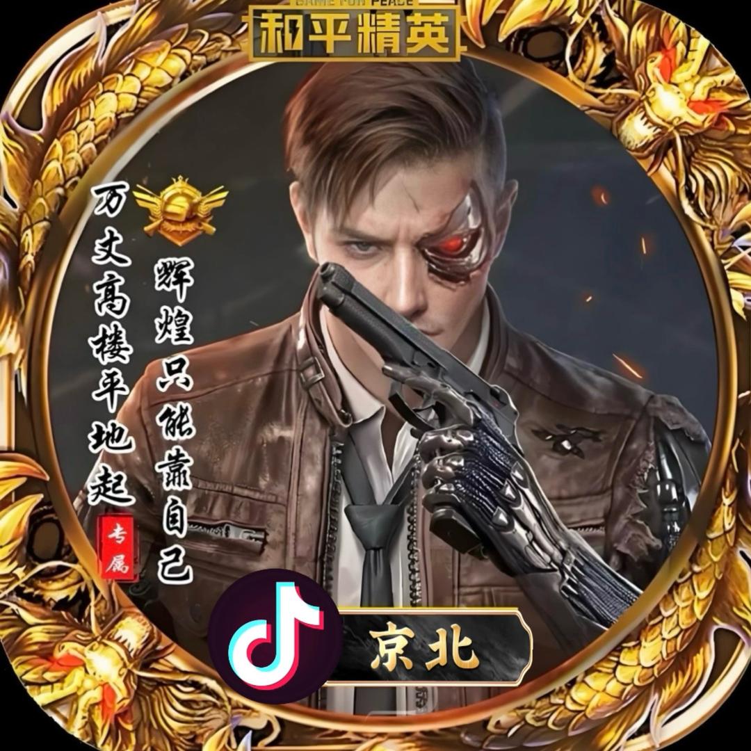 京北🌟和平精英