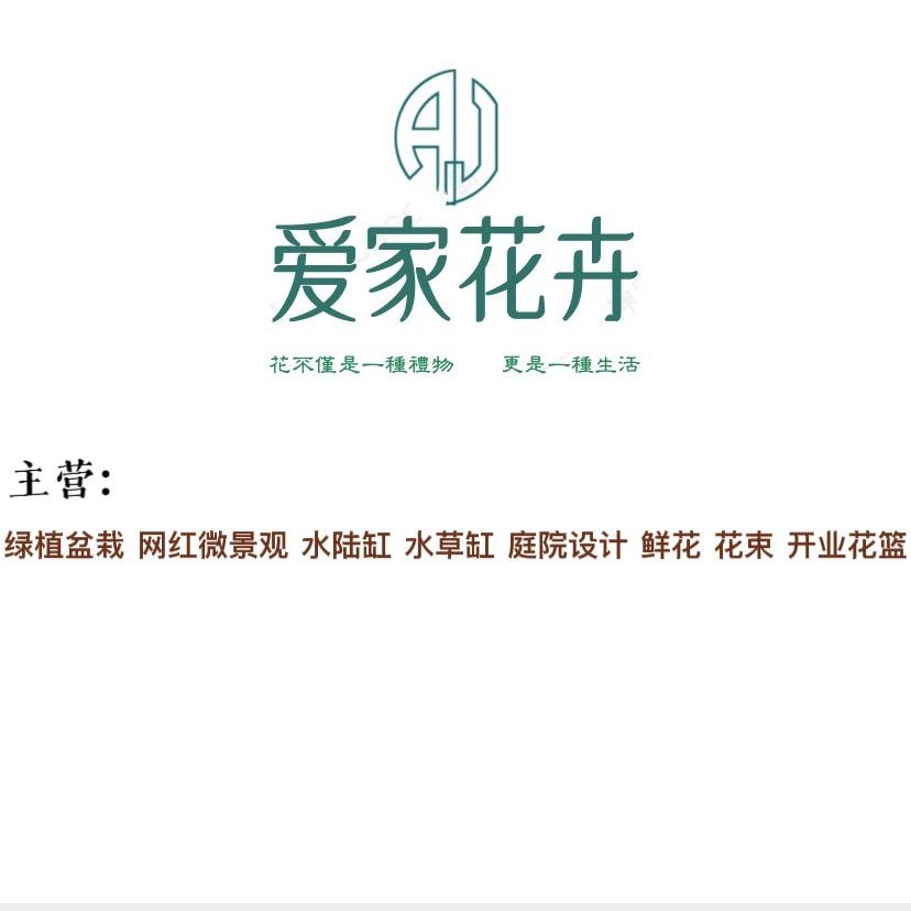 爱家花卉🪴