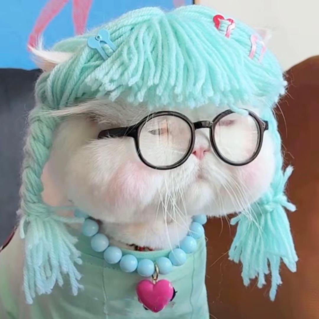 纯情蛋挞