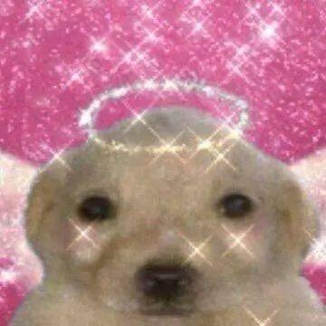 性感母蟑螂穿内裤勾引隔壁王大爷的公牛