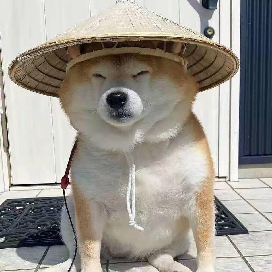 盐城最后的单纯