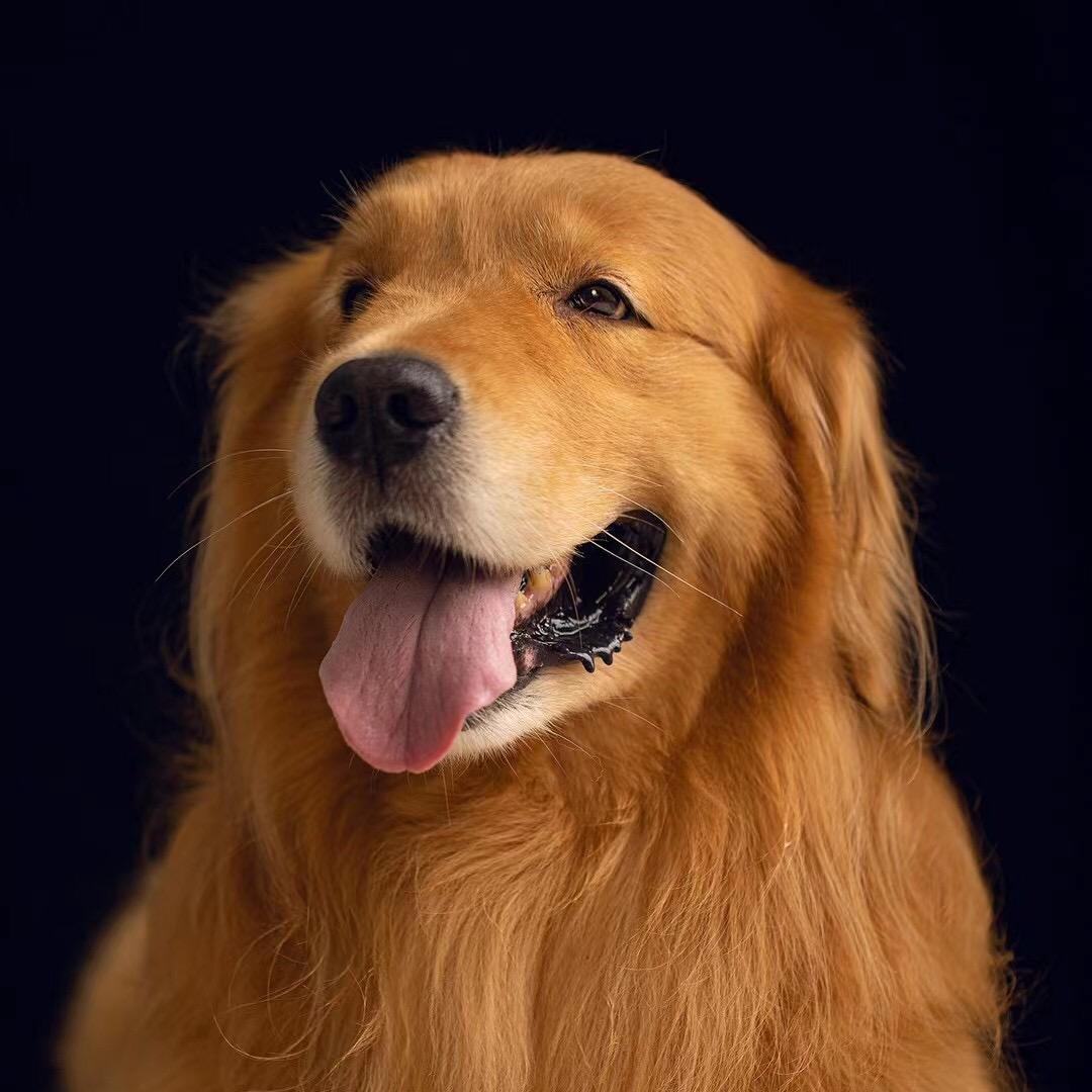 我家老六叫雪～