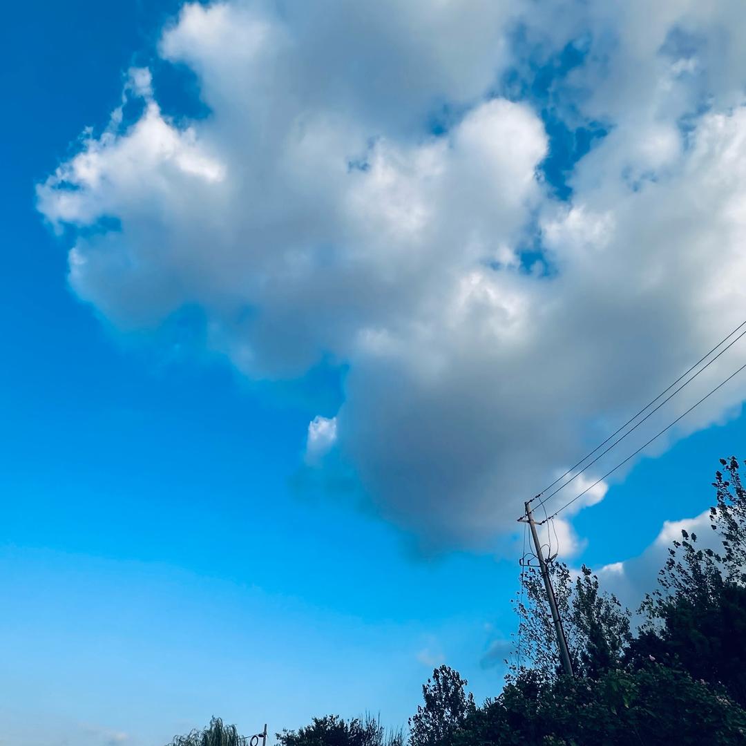 刘老弟（21：45）