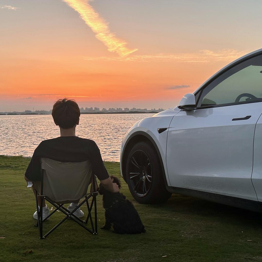 上海小彦养龟日记