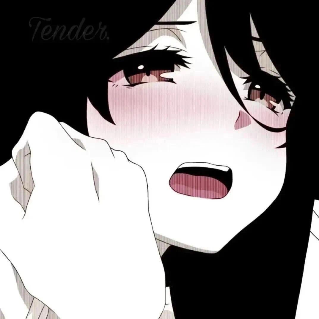 贴贴老师