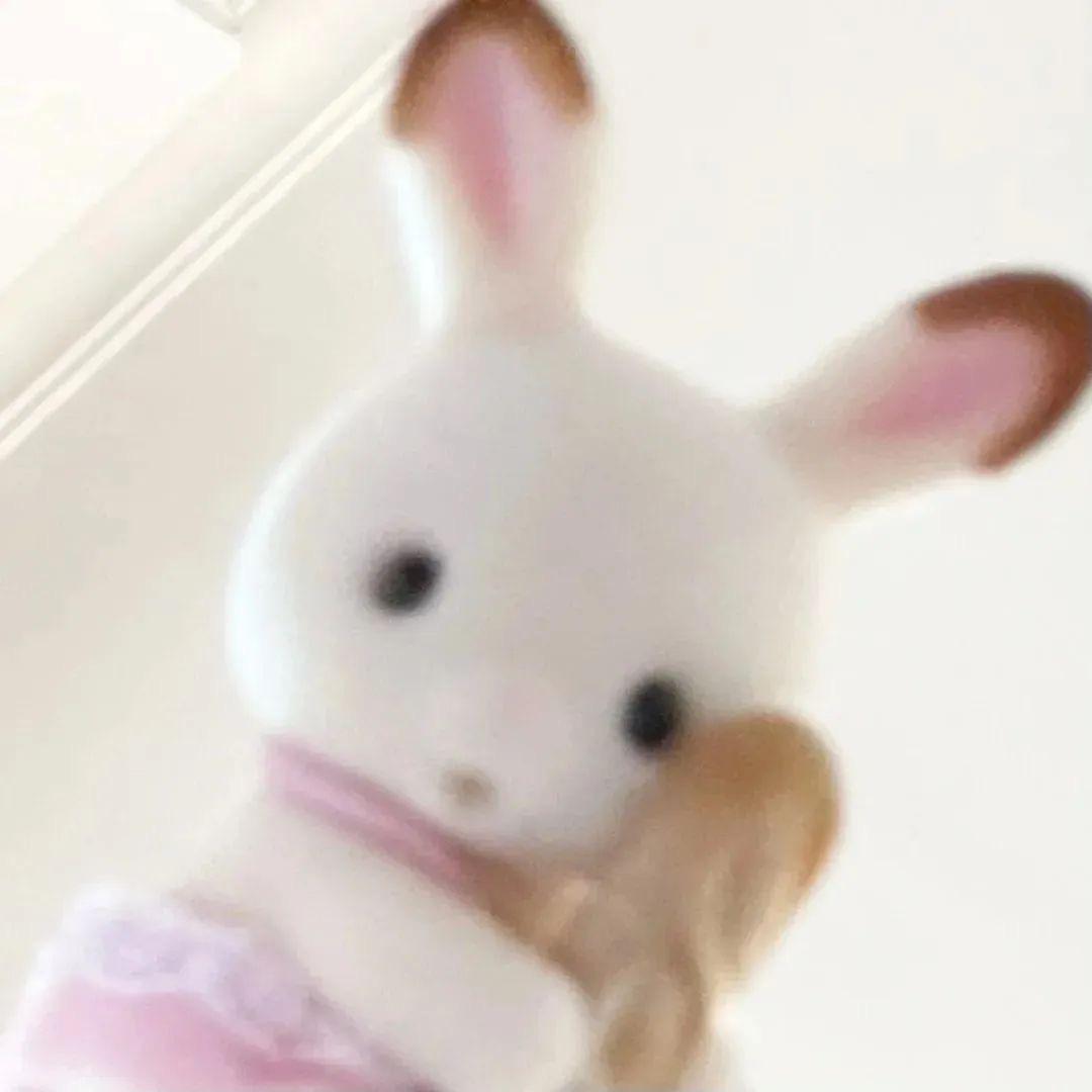 喜多莱