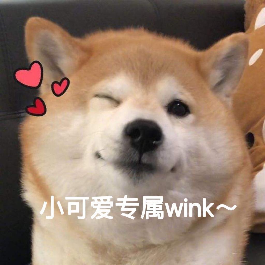 溜溜不遛狗