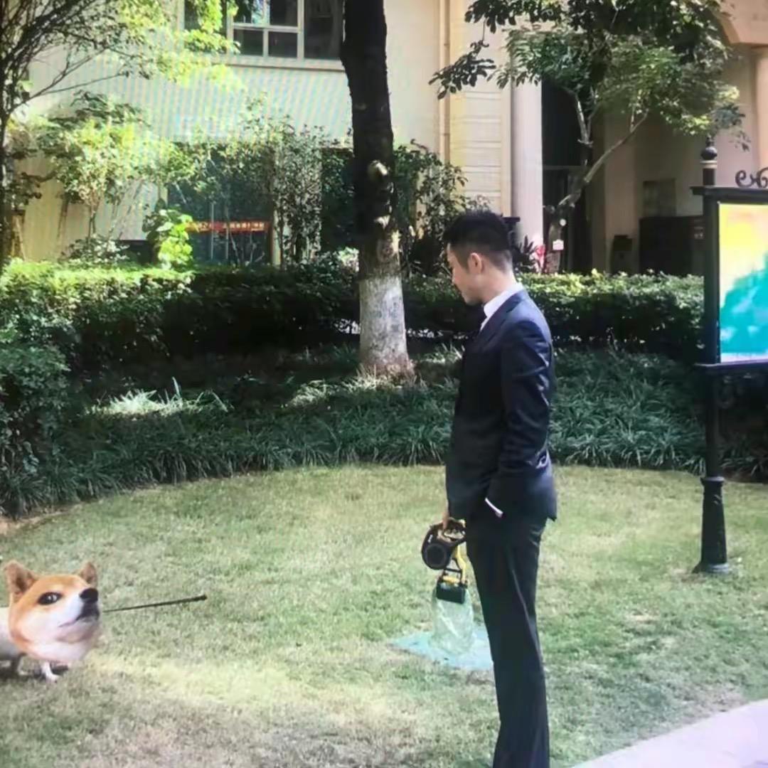 真心换真心
