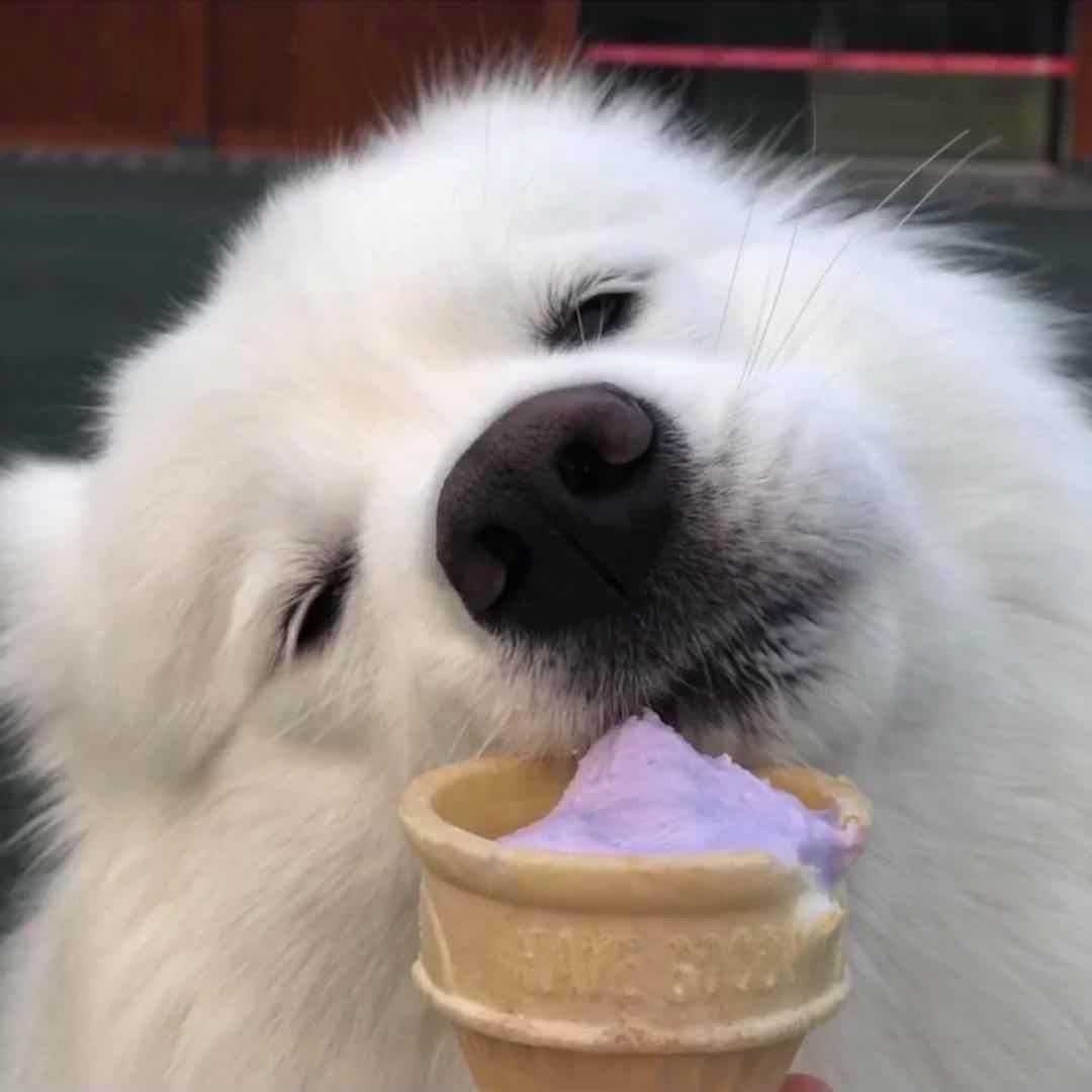 像风一样自由^O^