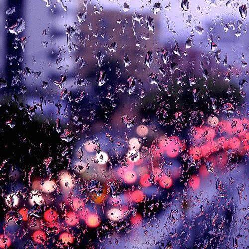 星梦无声 花尽泪