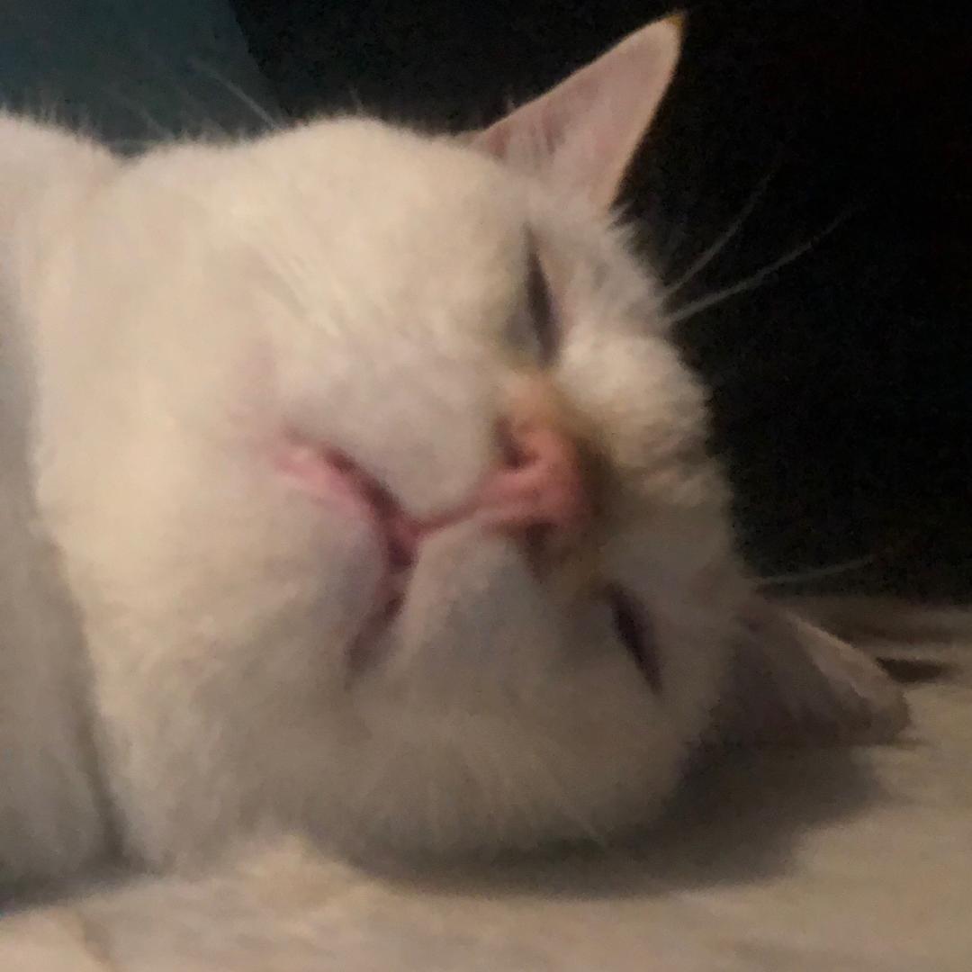 航仔JH